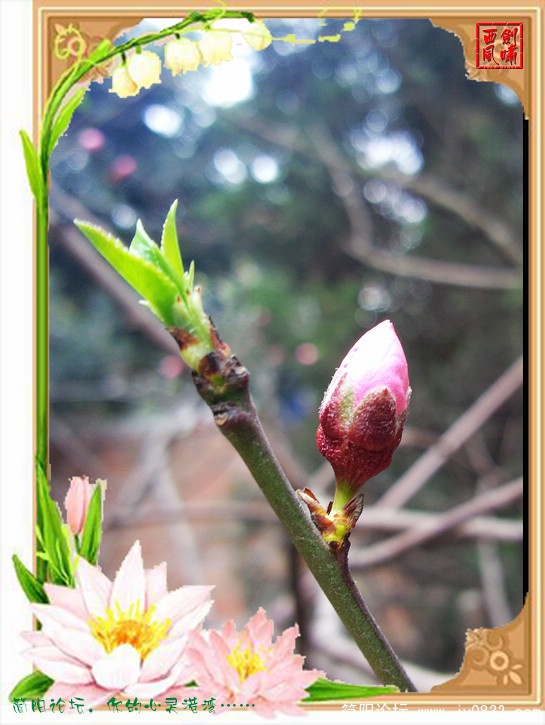 照片0147a.jpg
