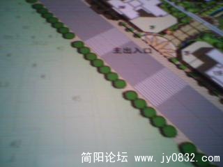 PIC_4906.jpg