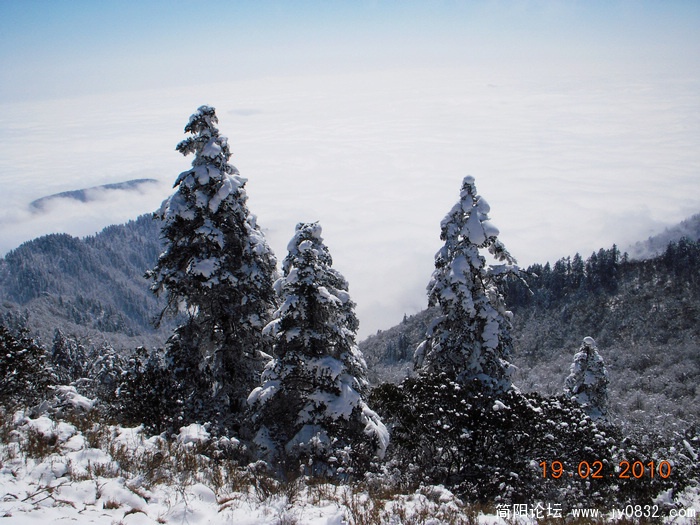 DSCN2355.jpg