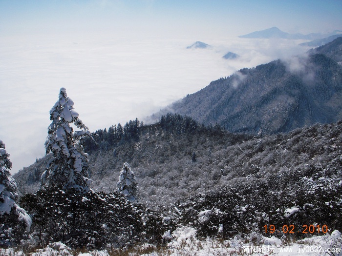 DSCN2354.jpg