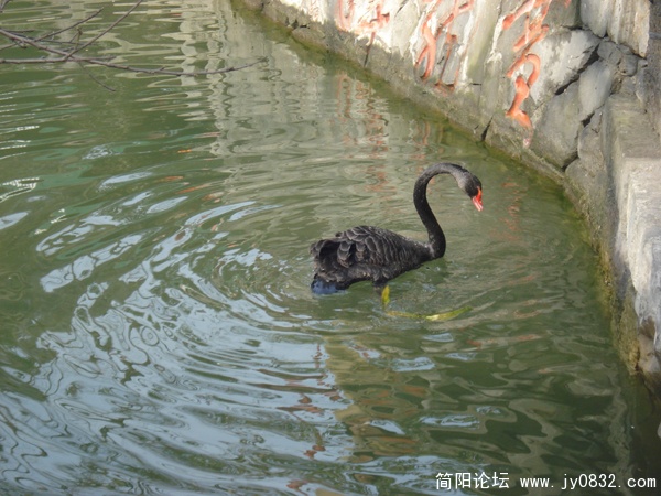 DSC00028.jpg
