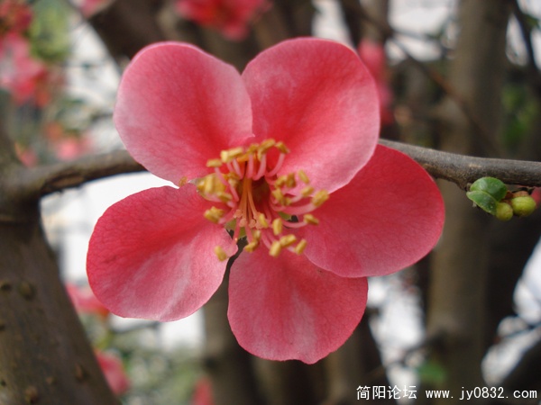 DSC00033.jpg
