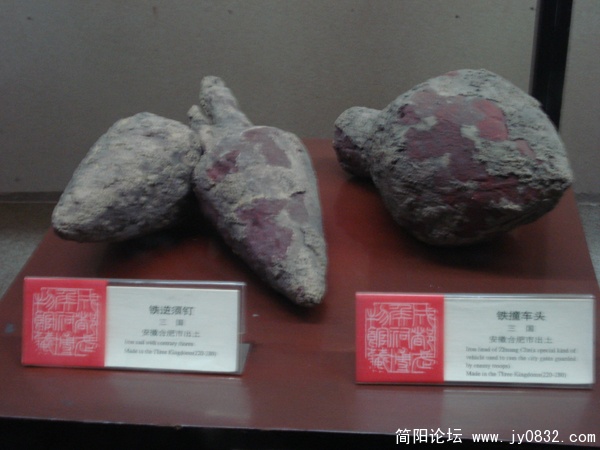 DSC00100.jpg