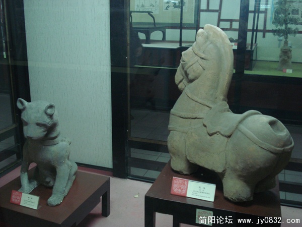 DSC00109.jpg