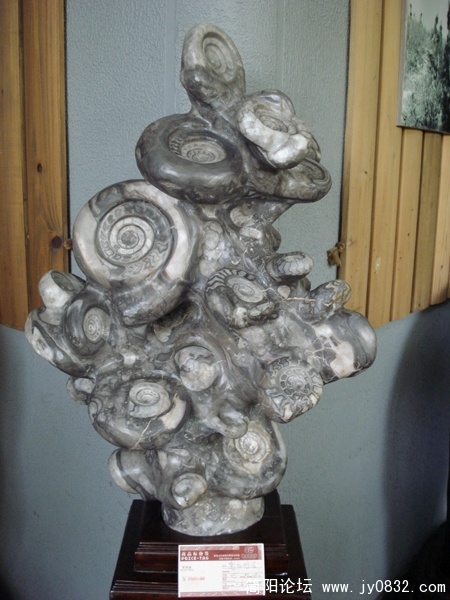 DSC00164.JPG