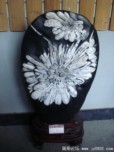 DSC00177.JPG
