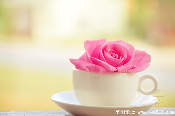 残忍是不断要提起那些已过的幸福。 