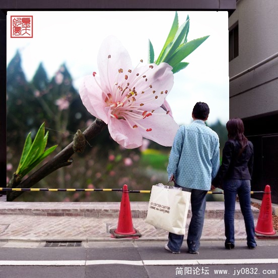 护花使者.jpg