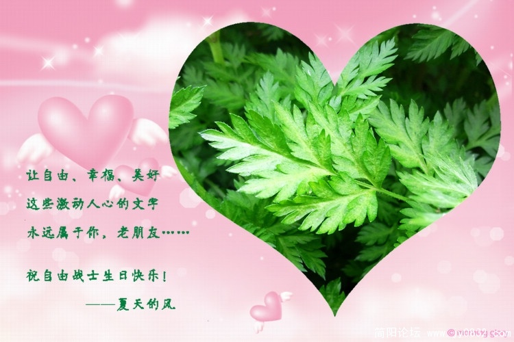 自由生日快乐.jpg