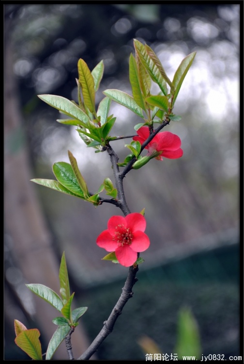 DSC_0589p.jpg
