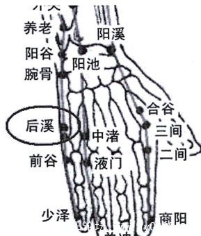 030604.jpg