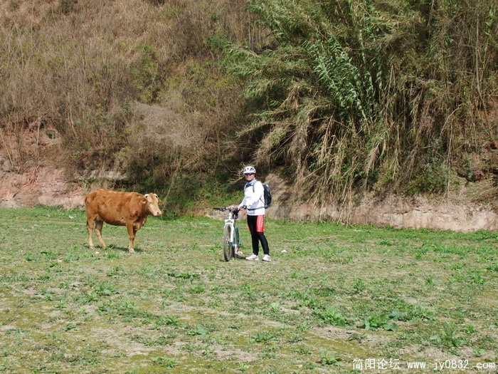 DSCF0394.JPG