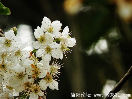 DSCN3788.jpg