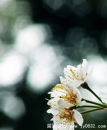 DSCN37592.jpg