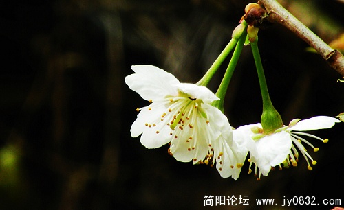 DSCN3813.jpg