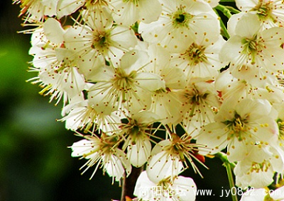 DSCN3795.jpg