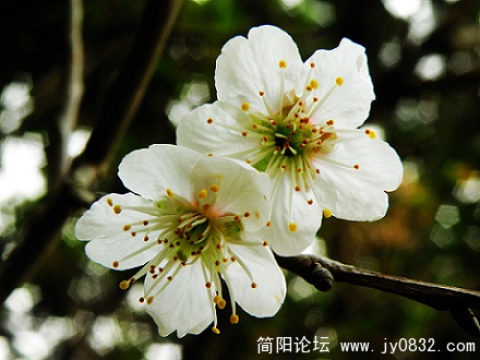 DSCN3807.jpg