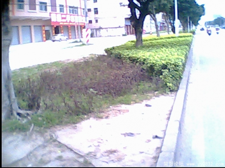 IMG0277A.jpg