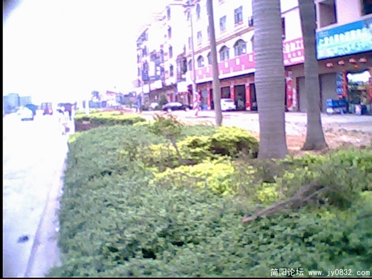 IMG0280A.jpg