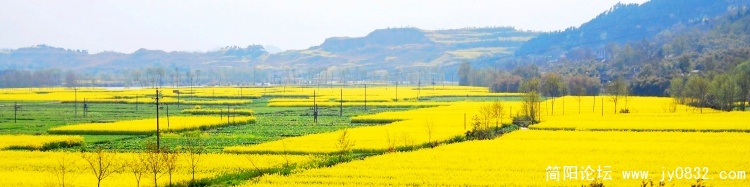 DSC_7670副本.jpg