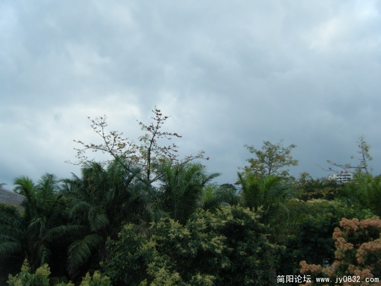 DSCF1918_缩小大小.jpg