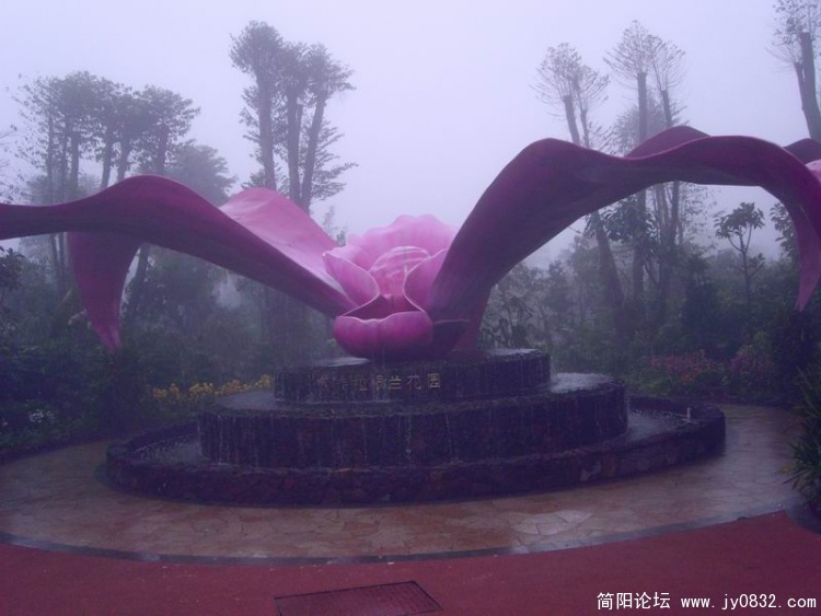 SL702027.jpg