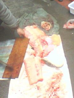 IMG0020A.jpg