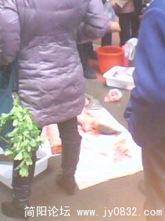 IMG0021A.jpg
