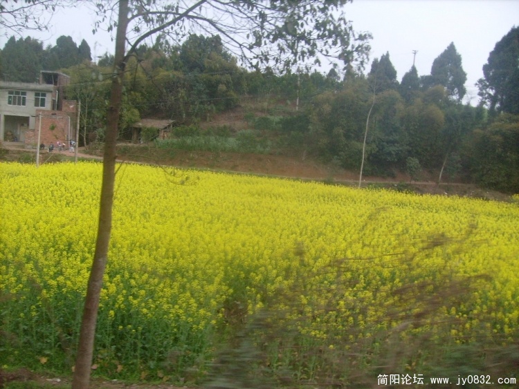 S7301181.JPG
