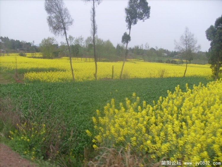 S7301199.JPG