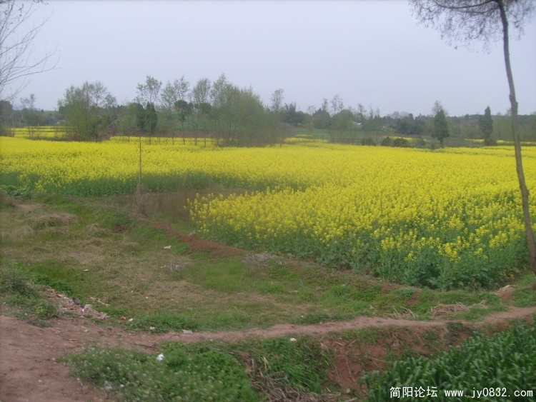 S7301200.JPG