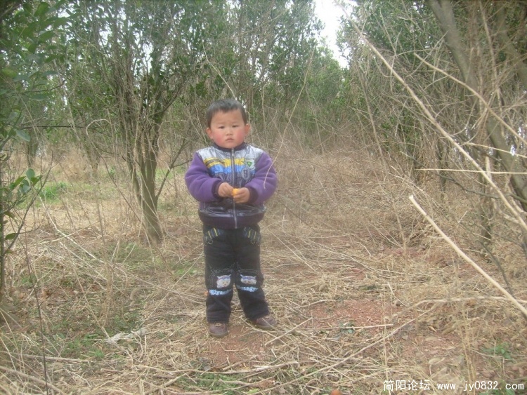 S7301254.JPG