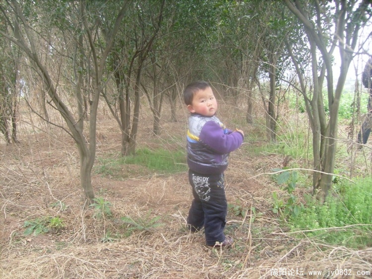 S7301259.JPG
