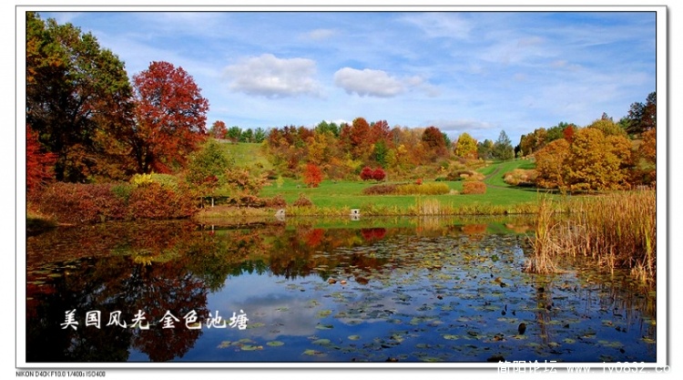 金色池塘01.jpg