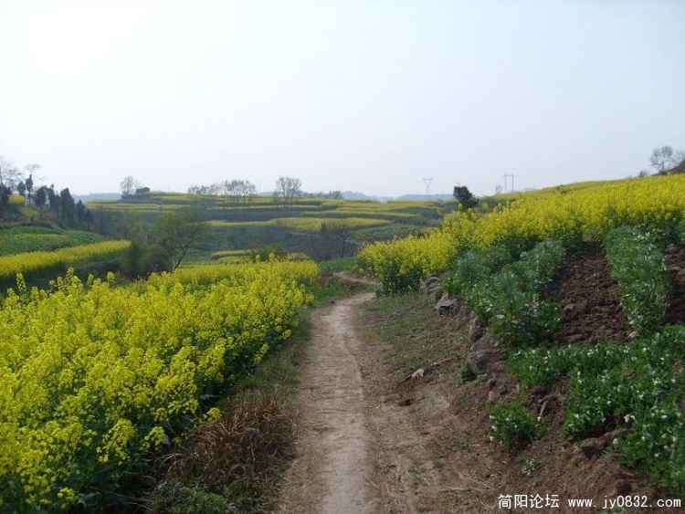 山沟？