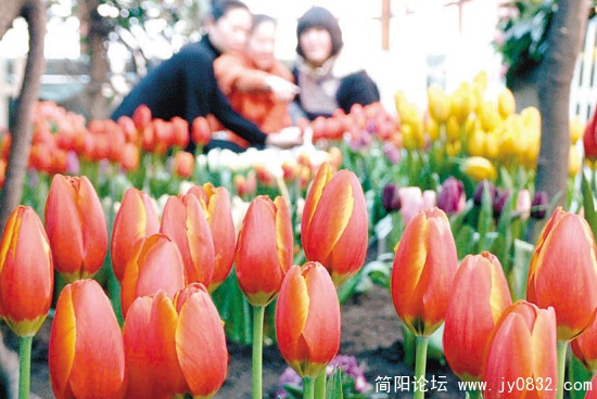 xin_1530206030949609518832.jpg