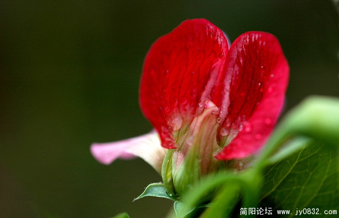 DSC_3667副本.jpg