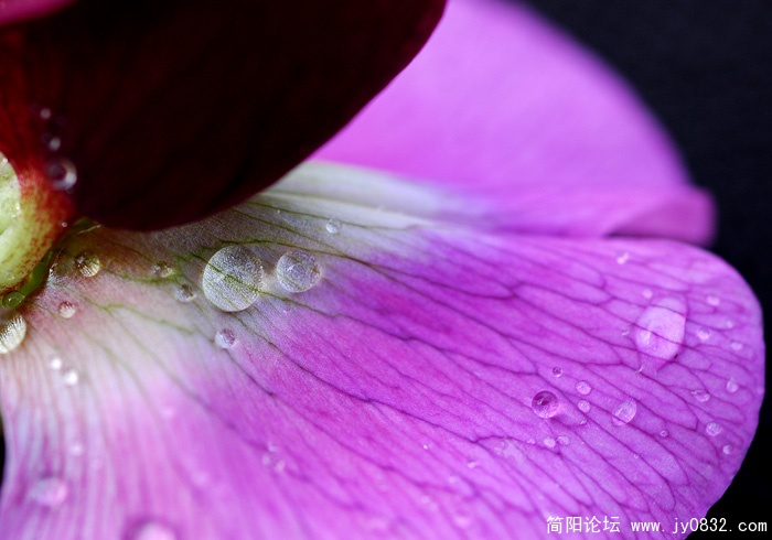 DSC_3696副本.jpg