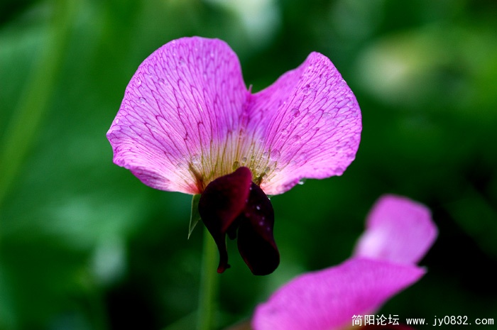 DSC_3693副本.jpg