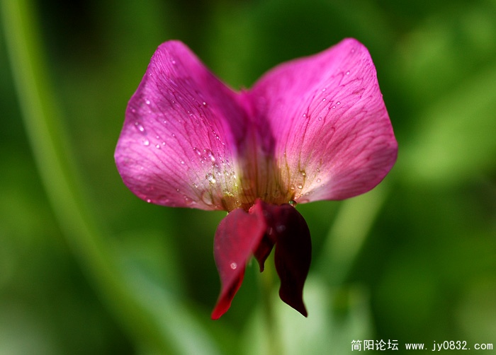 DSC_3669副本.jpg