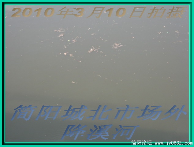 IMG_1617.jpg