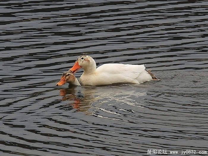 IMG_6925.JPG