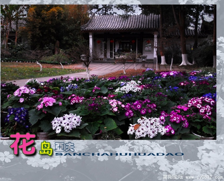 花岛——04副本.jpg