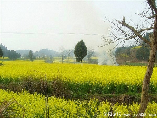 s73008291_副本_副本.jpg