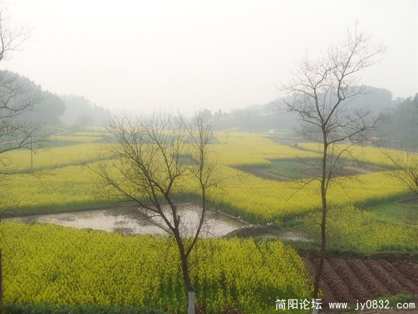 s7300735_副本.jpg