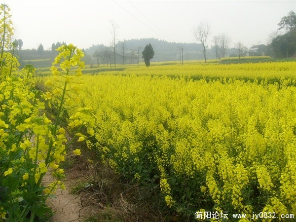 s7300760_副本.jpg
