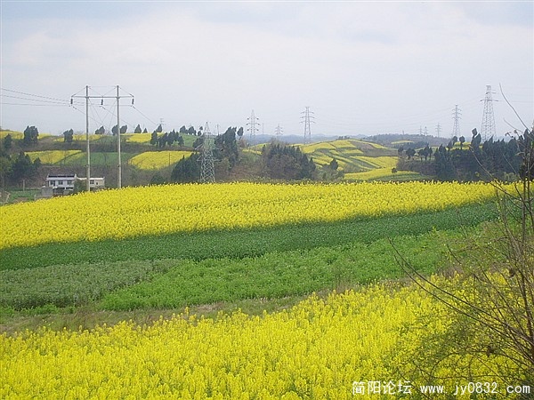 s7300630_副本.jpg