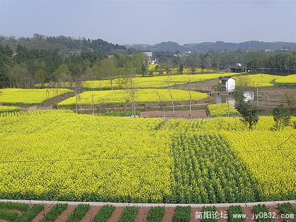 s7300684_副本.jpg