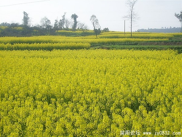 s7300640_副本.jpg
