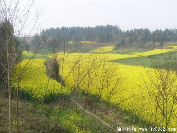 s7300794_副本.jpg